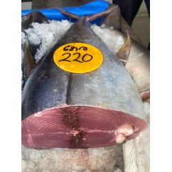 Yellowfin tuna / കേര 